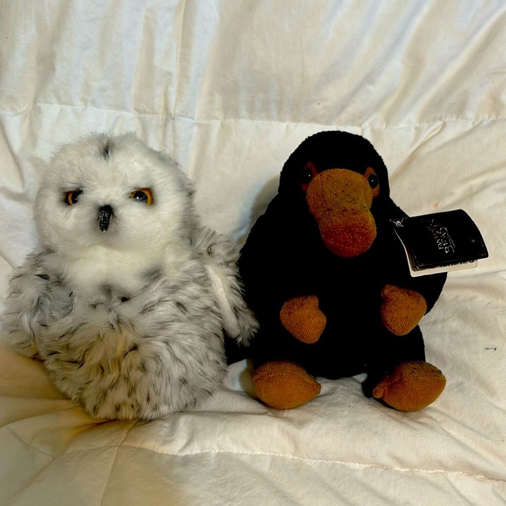 Fantastic Beasts (Harry Potter)